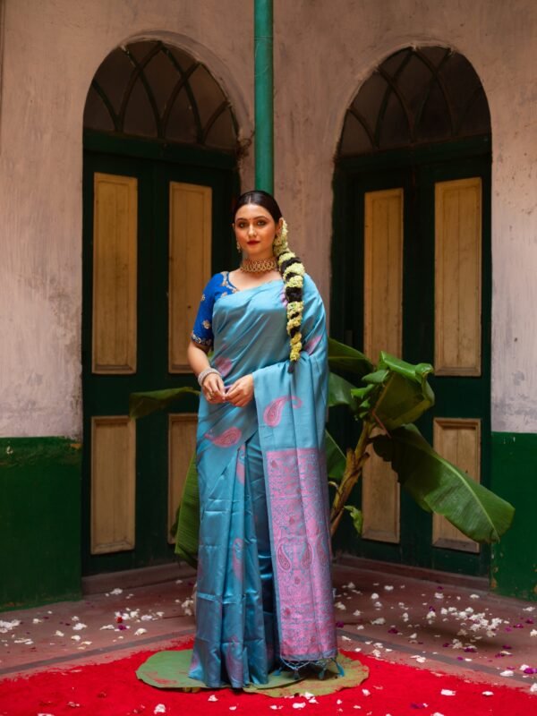 Blue With Purple  Kanjeevaram Silk