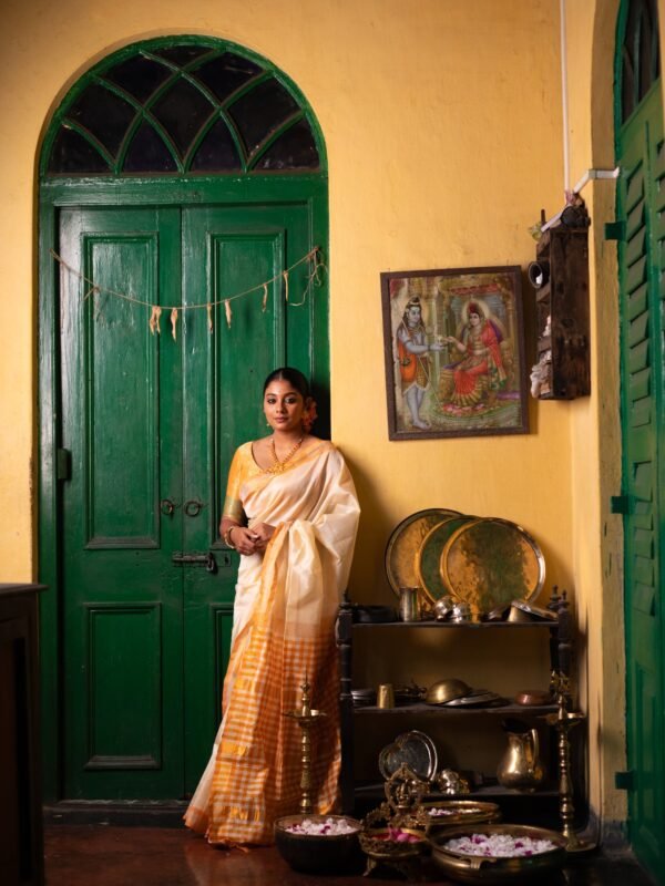 Pure Silk Kanjeevaram With Checkered Pallu