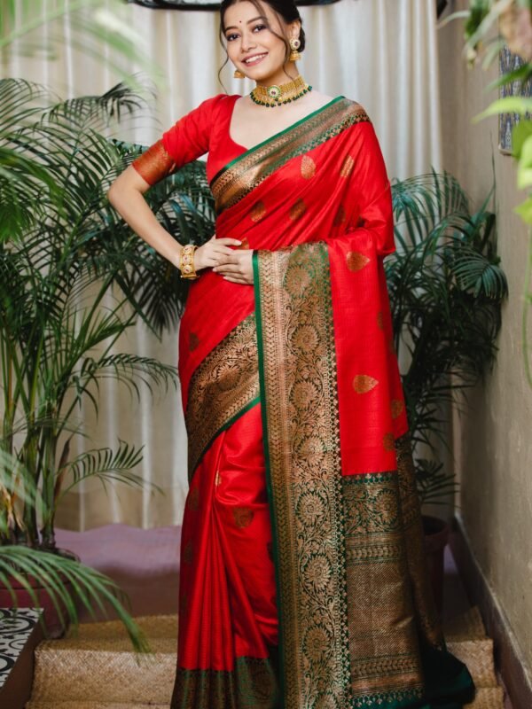 Pure Tussar Benarasi With