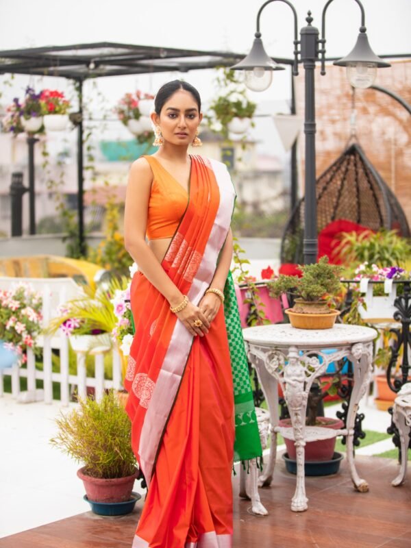 Pure Silk Kanjeevaram With Contrast Borderless Style