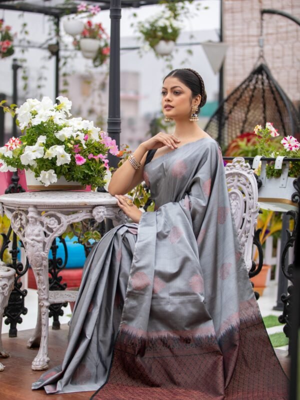 Pure Silk Kanjeevaram With Contrast Borderless Style
