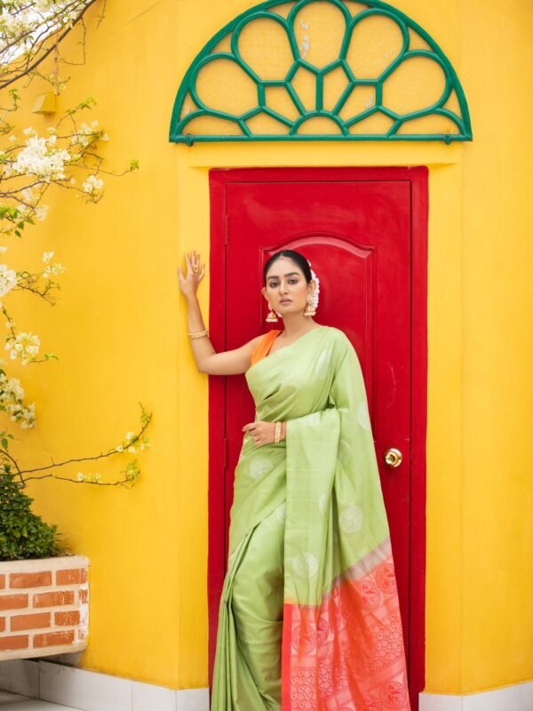 Pure Silk Kanjeevaram With Contrast Borderless Style
