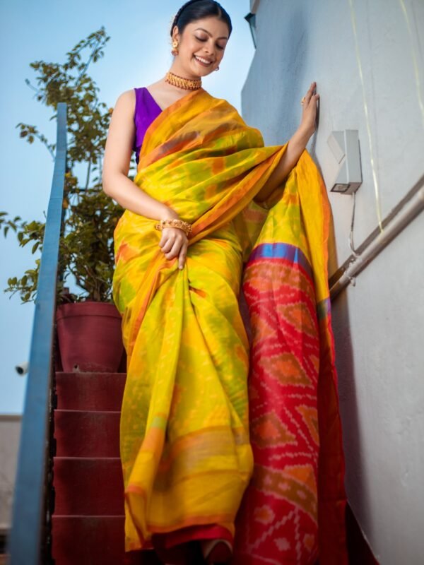 South Silk With Ikkat Print
