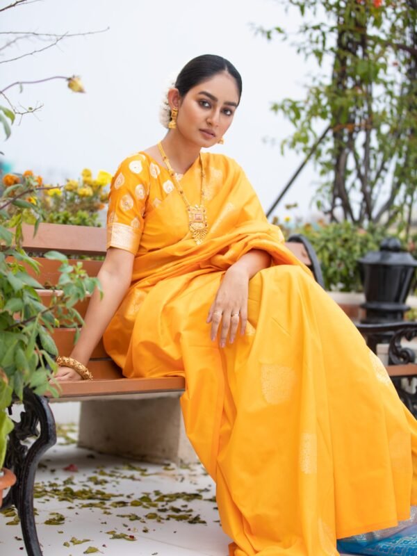 Pure Silk Kanjeevaram With Contrast Borderless Style