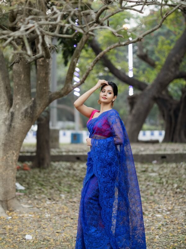 Navy blue pure organza with whole body embroidery art